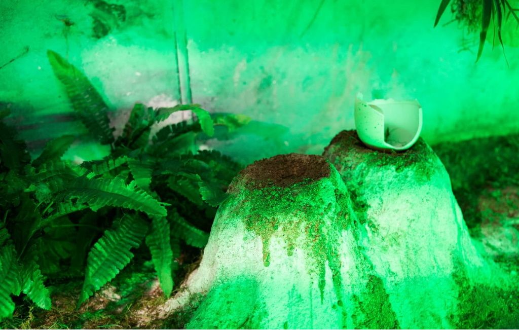 A cracked egg resting on a mossy nest under green light